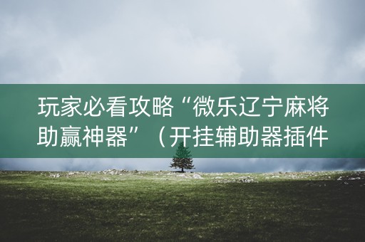 玩家必看攻略“微乐辽宁麻将助赢神器”（开挂辅助器插件)