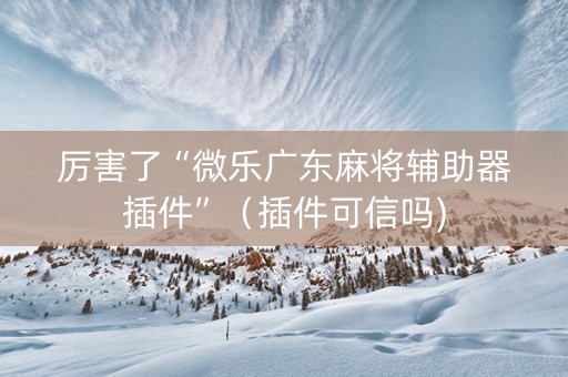 厉害了“微乐广东麻将辅助器插件”（插件可信吗)