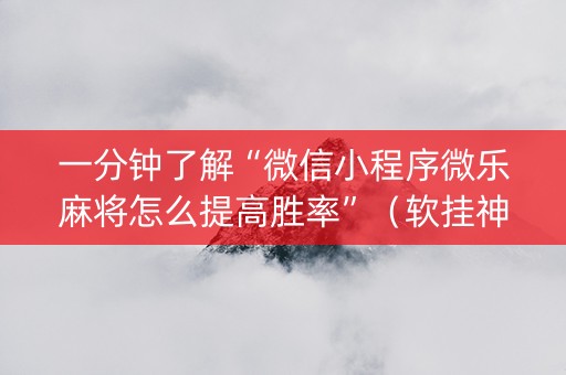 一分钟了解“微信小程序微乐麻将怎么提高胜率”（软挂神器)