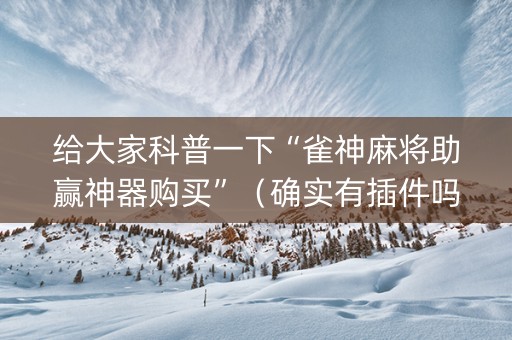 给大家科普一下“雀神麻将助赢神器购买”（确实有插件吗)