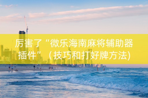 厉害了“微乐海南麻将辅助器插件”（技巧和打好牌方法)