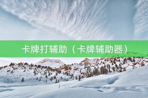 卡牌打辅助（卡牌辅助器）