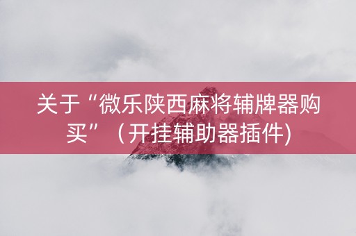 关于“微乐陕西麻将辅牌器购买”（开挂辅助器插件)