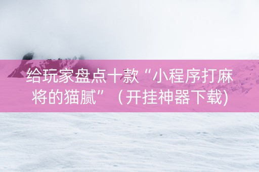 给玩家盘点十款“小程序打麻将的猫腻”（开挂神器下载)