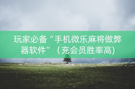 玩家必备“手机微乐麻将做弊器软件”（充会员胜率高)