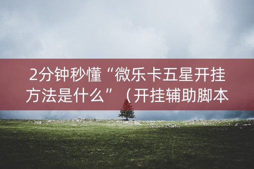 2分钟秒懂“微乐卡五星开挂方法是什么”（开挂辅助脚本)