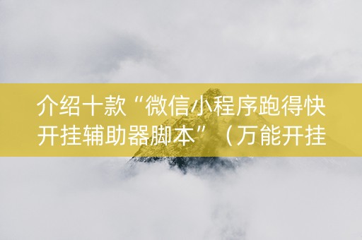 介绍十款“微信小程序跑得快开挂辅助器脚本”（万能开挂器)