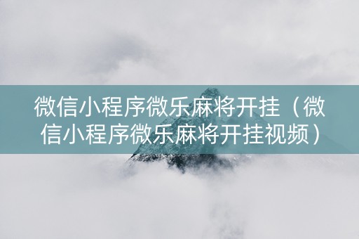 微信小程序微乐麻将开挂（微信小程序微乐麻将开挂视频）