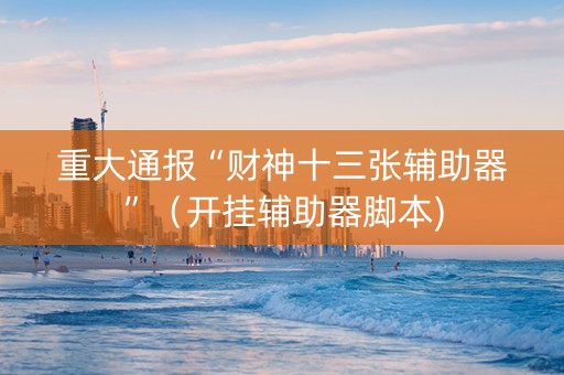 重大通报“财神十三张辅助器”（开挂辅助器脚本)