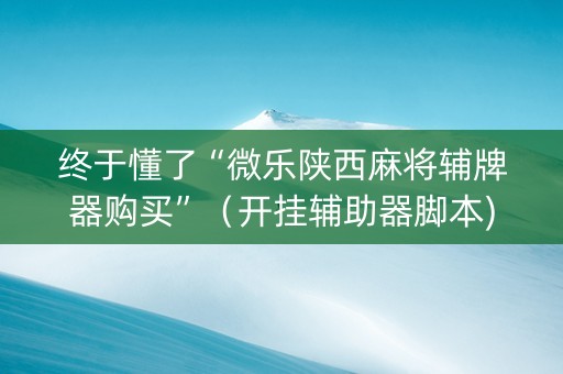 终于懂了“微乐陕西麻将辅牌器购买”（开挂辅助器脚本)