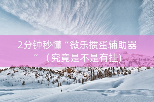 2分钟秒懂“微乐掼蛋辅助器”（究竟是不是有挂)