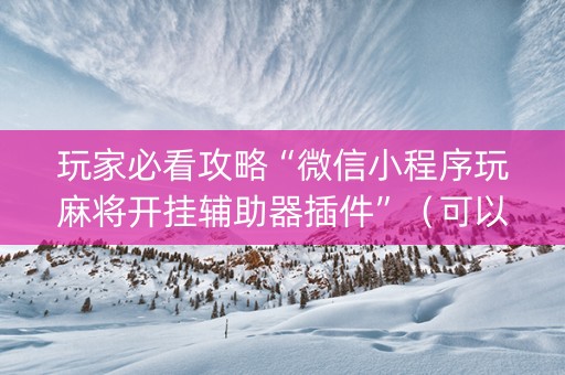 玩家必看攻略“微信小程序玩麻将开挂辅助器插件”（可以设置输赢吗)