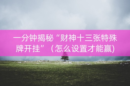 一分钟揭秘“财神十三张特殊牌开挂”（怎么设置才能赢)