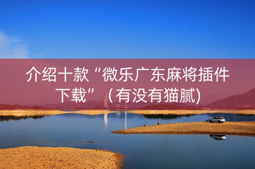 介绍十款“微乐广东麻将插件下载”（有没有猫腻)