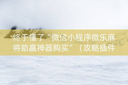 终于懂了“微信小程序微乐麻将助赢神器购买”（攻略插件)