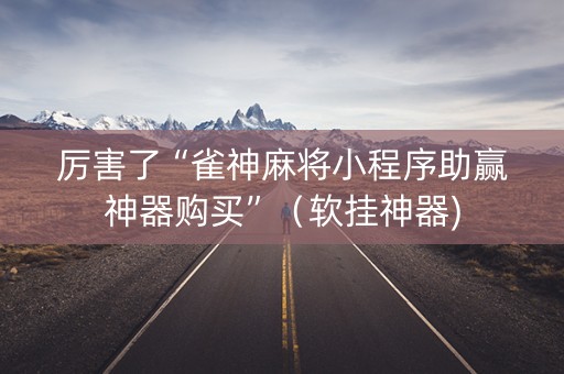 厉害了“雀神麻将小程序助赢神器购买”（软挂神器)