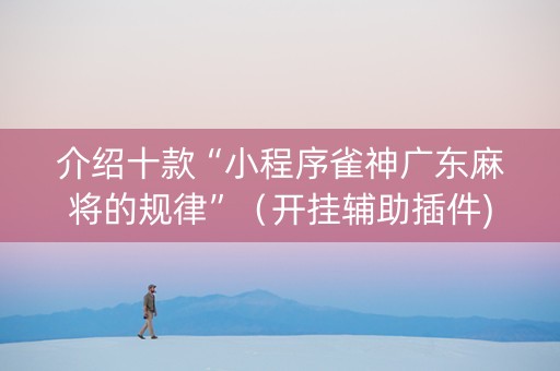 介绍十款“小程序雀神广东麻将的规律”（开挂辅助插件)