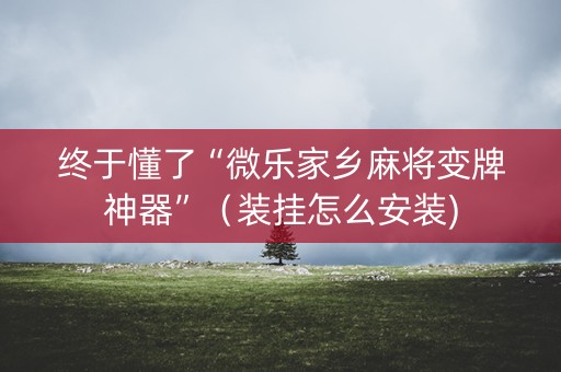 终于懂了“微乐家乡麻将变牌神器”（装挂怎么安装)