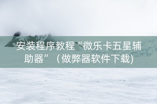 安装程序教程“微乐卡五星辅助器”（做弊器软件下载)
