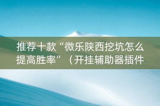 推荐十款“微乐陕西挖坑怎么提高胜率”（开挂辅助器插件)