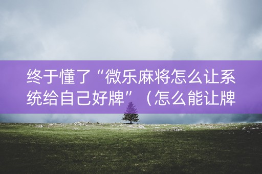终于懂了“微乐麻将怎么让系统给自己好牌”（怎么能让牌好一点)