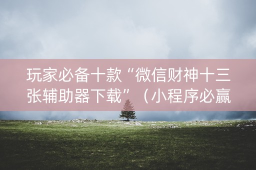 玩家必备十款“微信财神十三张辅助器下载”（小程序必赢神器)