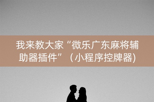 我来教大家“微乐广东麻将辅助器插件”（小程序控牌器)