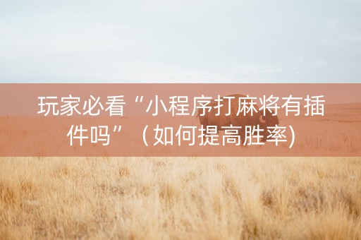 玩家必看“小程序打麻将有插件吗”（如何提高胜率)