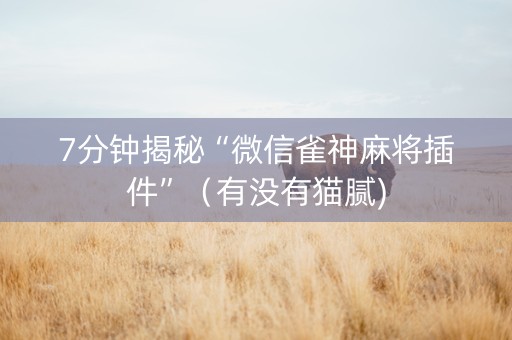 7分钟揭秘“微信雀神麻将插件”（有没有猫腻)