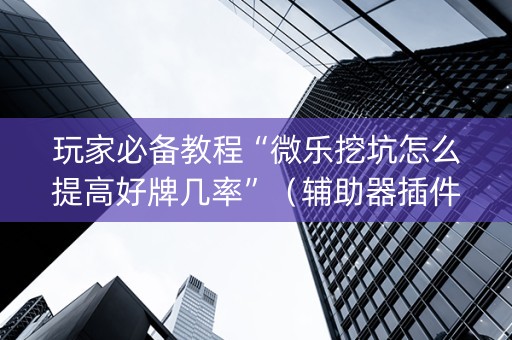 玩家必备教程“微乐挖坑怎么提高好牌几率”（辅助器插件)