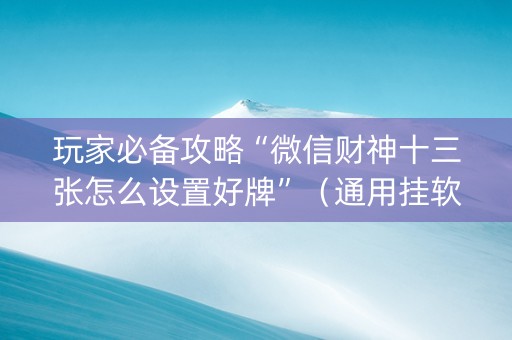 玩家必备攻略“微信财神十三张怎么设置好牌”（通用挂软件多少钱)