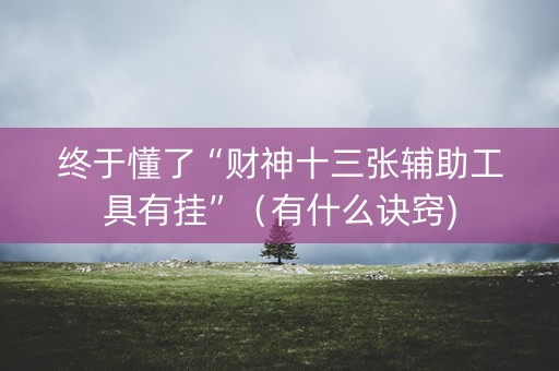 终于懂了“财神十三张辅助工具有挂”（有什么诀窍)