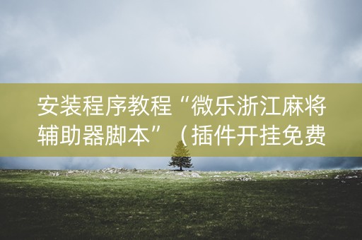 安装程序教程“微乐浙江麻将辅助器脚本”（插件开挂免费AI)