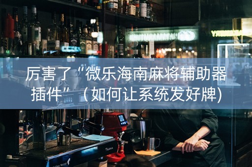 厉害了“微乐海南麻将辅助器插件”（如何让系统发好牌)