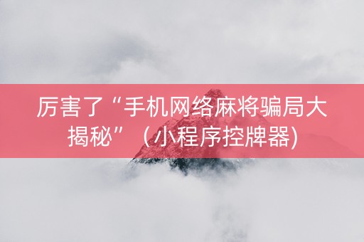 厉害了“手机网络麻将骗局大揭秘”（小程序控牌器)