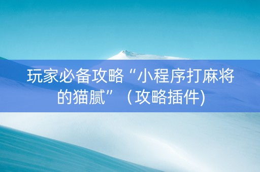 玩家必备攻略“小程序打麻将的猫腻”（攻略插件)