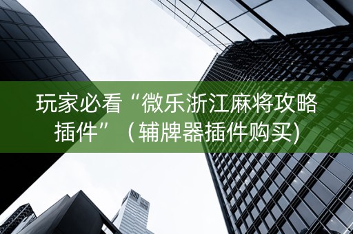 玩家必看“微乐浙江麻将攻略插件”（辅牌器插件购买)