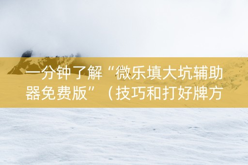 一分钟了解“微乐填大坑辅助器免费版”（技巧和打好牌方法)