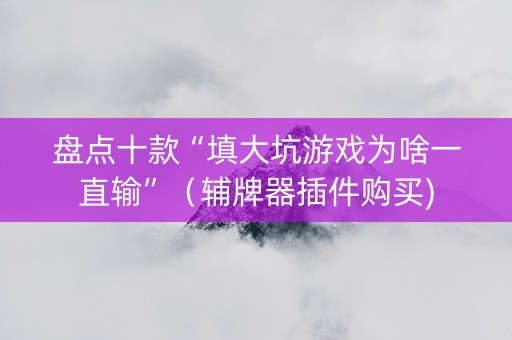 盘点十款“填大坑游戏为啥一直输”（辅牌器插件购买)