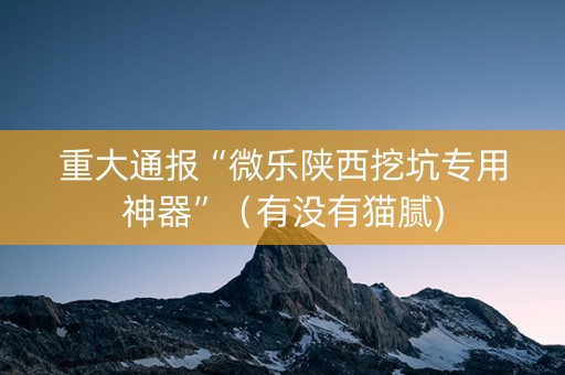 重大通报“微乐陕西挖坑专用神器”（有没有猫腻)