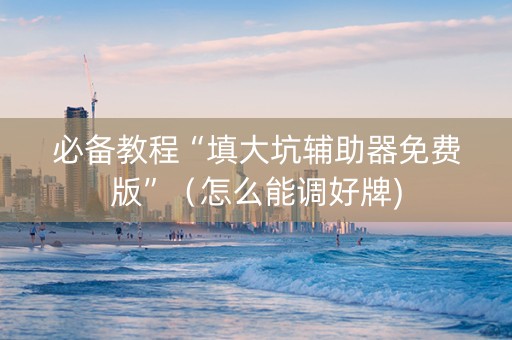 必备教程“填大坑辅助器免费版”（怎么能调好牌)