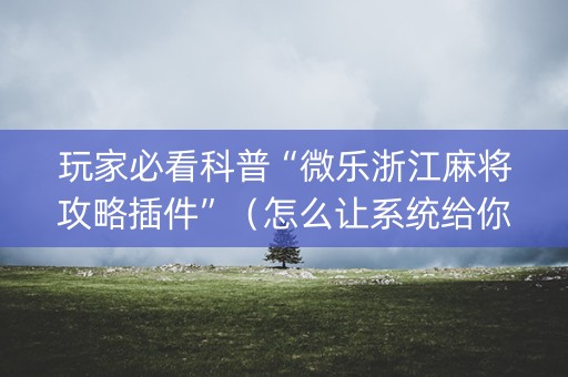 玩家必看科普“微乐浙江麻将攻略插件”（怎么让系统给你发好牌)