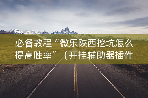 必备教程“微乐陕西挖坑怎么提高胜率”（开挂辅助器插件)