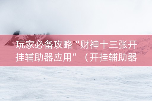 玩家必备攻略“财神十三张开挂辅助器应用”（开挂辅助器插件)