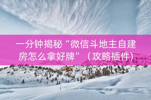 一分钟揭秘“微信斗地主自建房怎么拿好牌”（攻略插件)