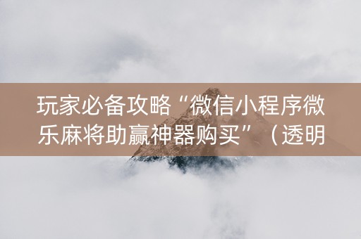 玩家必备攻略“微信小程序微乐麻将助赢神器购买”（透明挂辅助器)