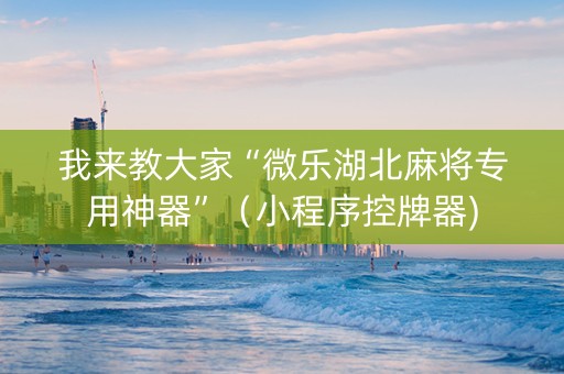 我来教大家“微乐湖北麻将专用神器”（小程序控牌器)