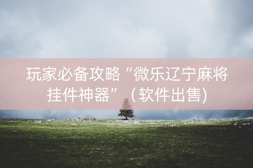 玩家必备攻略“微乐辽宁麻将挂件神器”（软件出售)