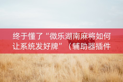 终于懂了“微乐湖南麻将如何让系统发好牌”（辅助器插件)