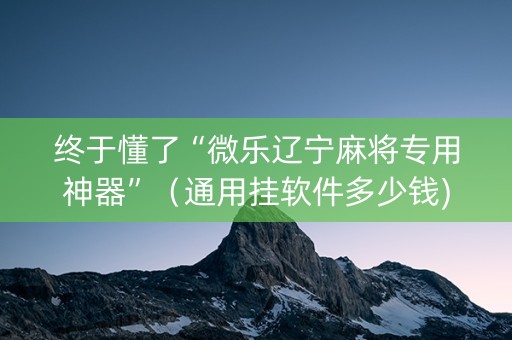 终于懂了“微乐辽宁麻将专用神器”（通用挂软件多少钱)